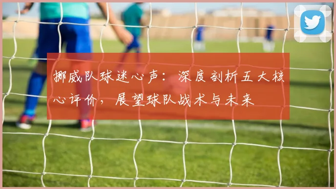 挪威队球迷心声：深度剖析五大核心评价，展望球队战术与未来