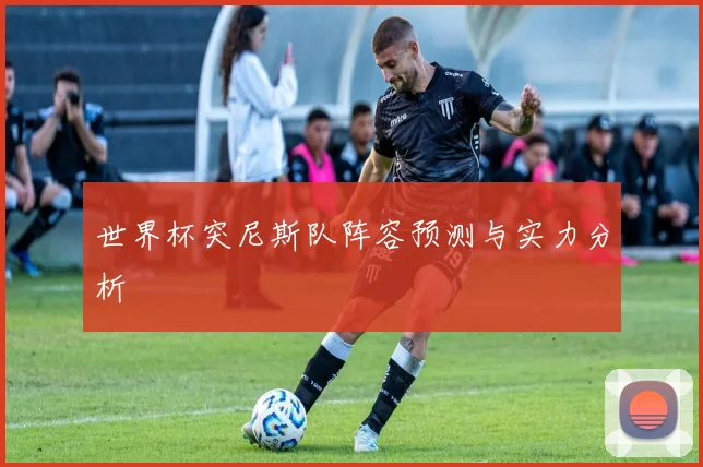 世界杯突尼斯队阵容预测与实力分析