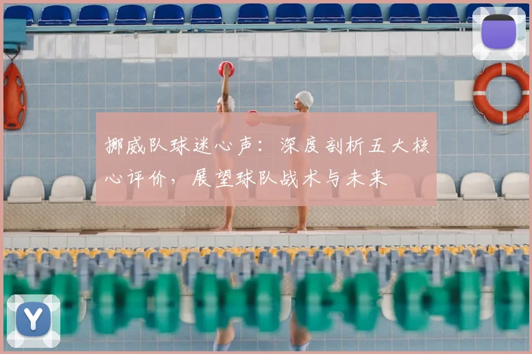 挪威队球迷心声：深度剖析五大核心评价，展望球队战术与未来