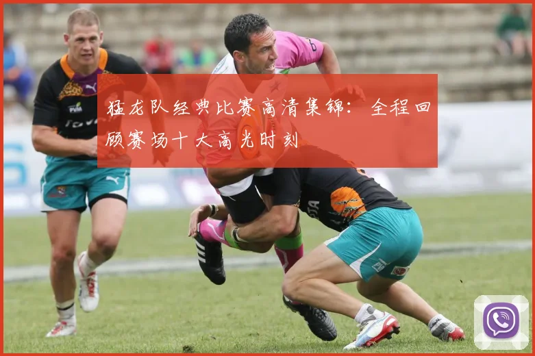 猛龙队经典比赛高清集锦：全程回顾赛场十大高光时刻